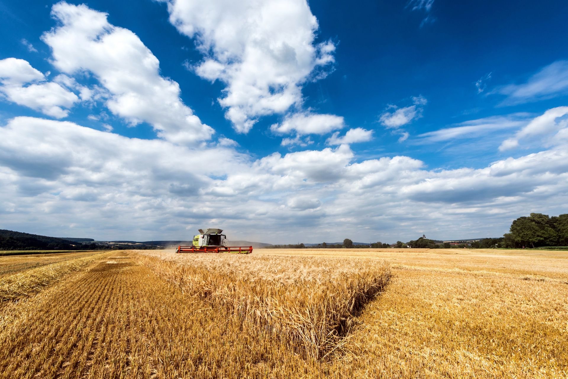 Combine harvesting a wheat field under a blue sky