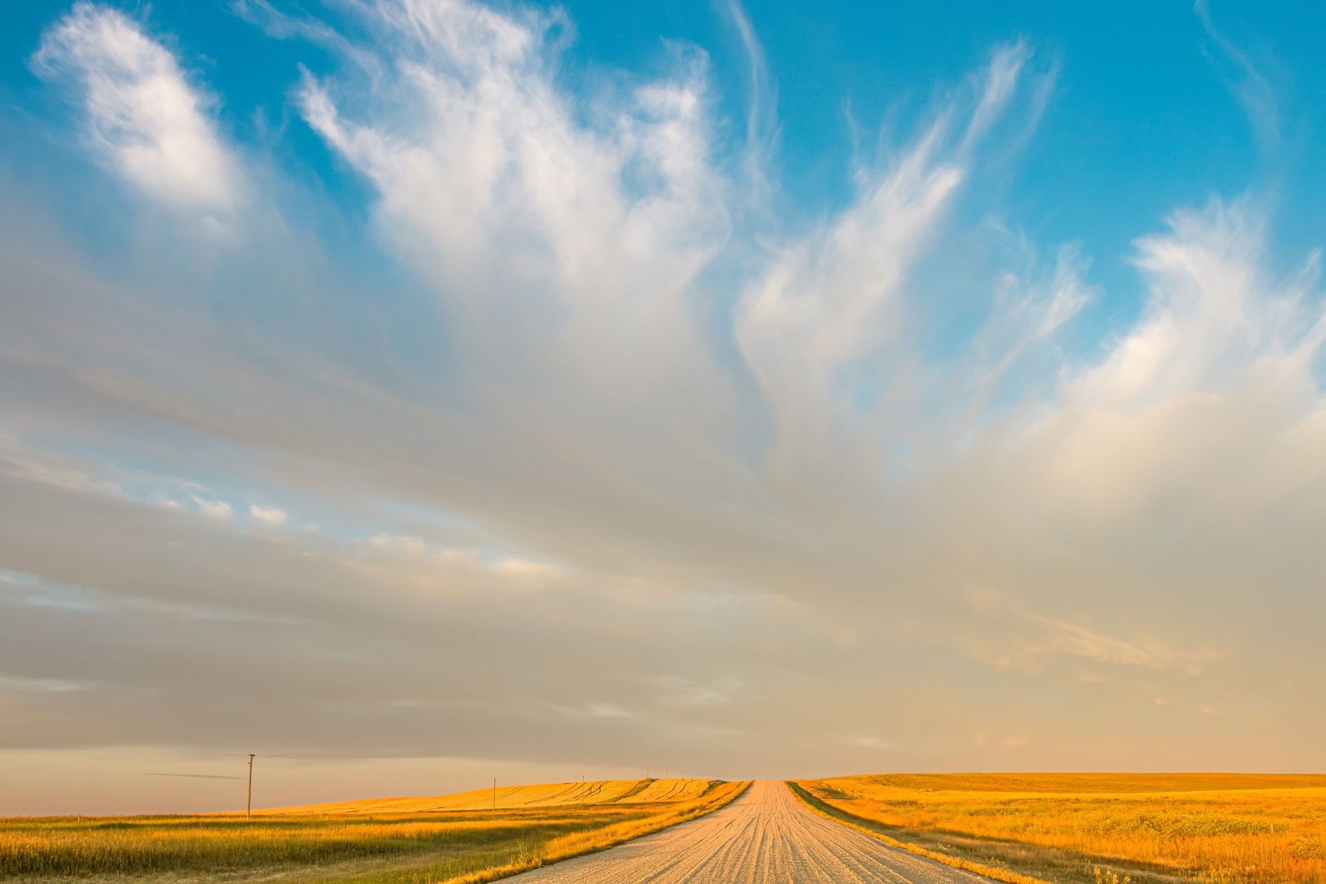 Dirt road running through ripe wheat fields under a wide evening sky